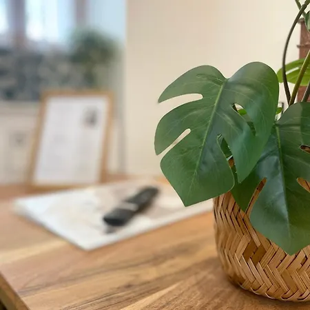 Maison Confort, Charme Et Authenticite Apartment *