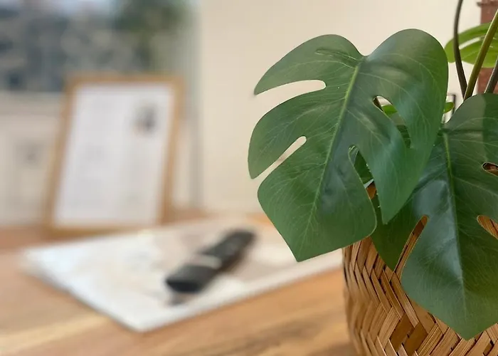 Maison Confort, Charme Et Authenticite Lägenhet *